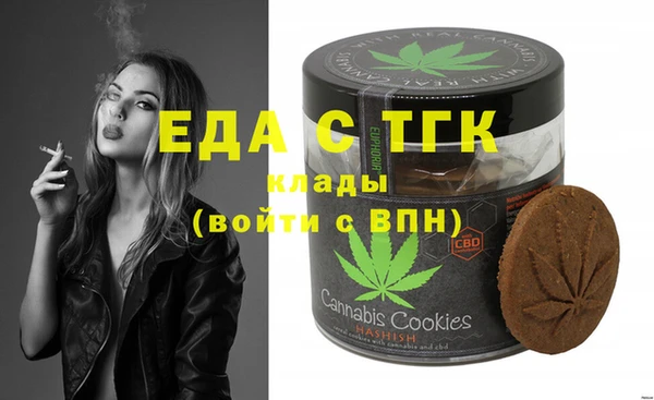 амф Гусев