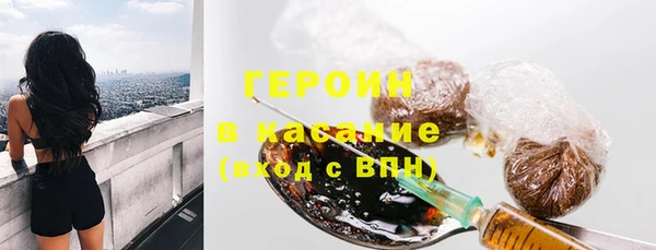 амф Гусев