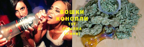 амф Гусев